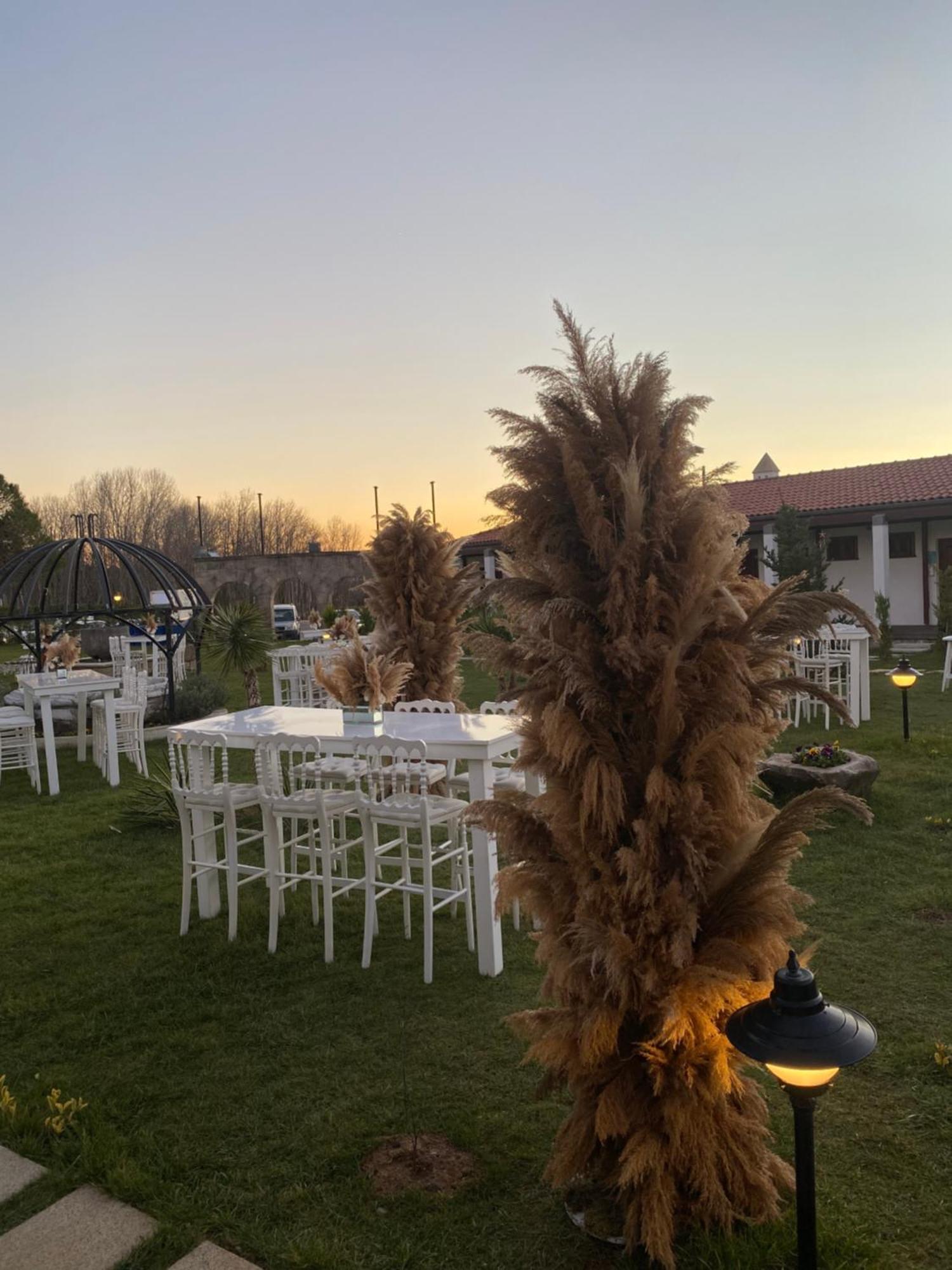 Tarihi Kumbaba Otel Ağva Exteriör bild